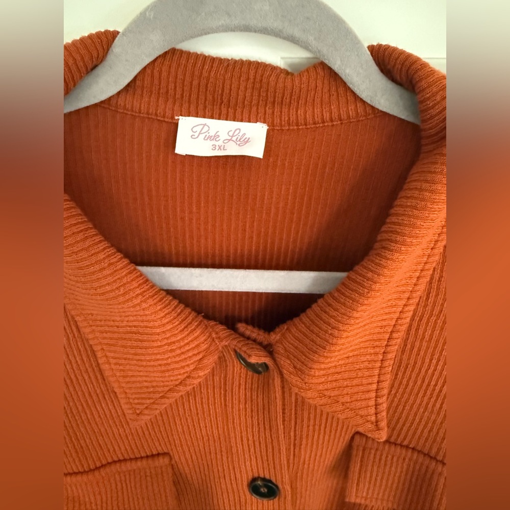 Pink Lily Orange Midi Dress with Collared Neckline - Picture 3 of 5